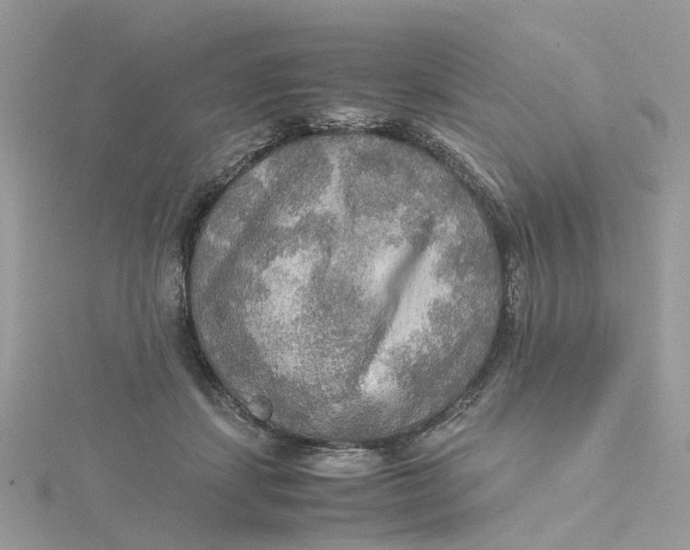 X0000115190459200911181451