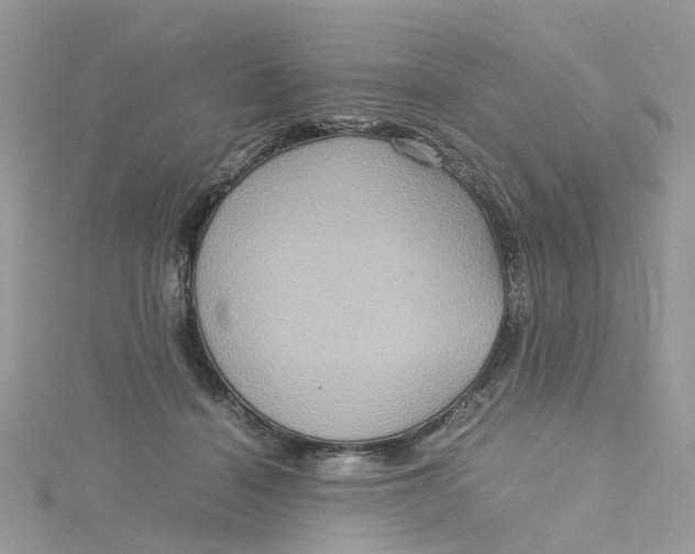 X0000115190460200911181451