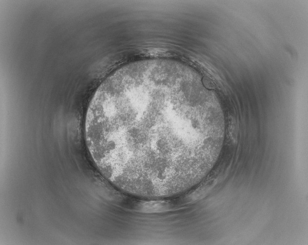 X0000115190461200911181451