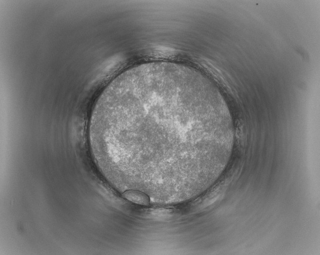 X0000115190462200911181451