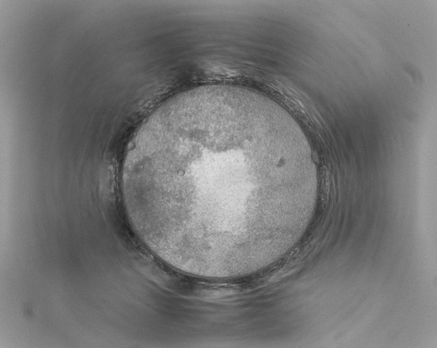 X0000115190463200911181451