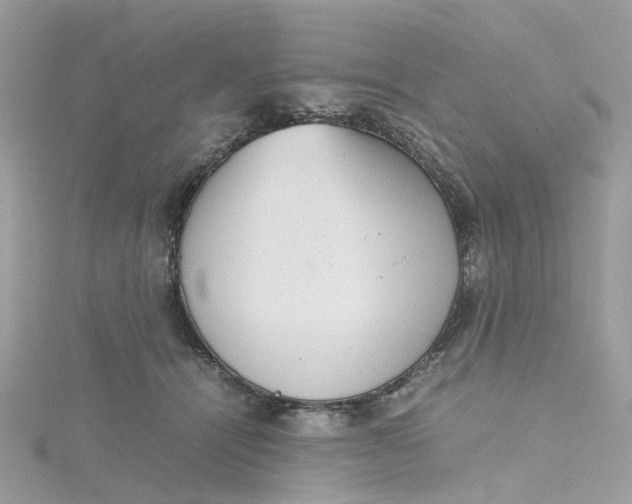 X0000115190464200911181451