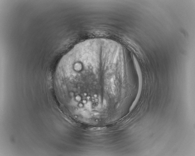 X0000115190465200911181451