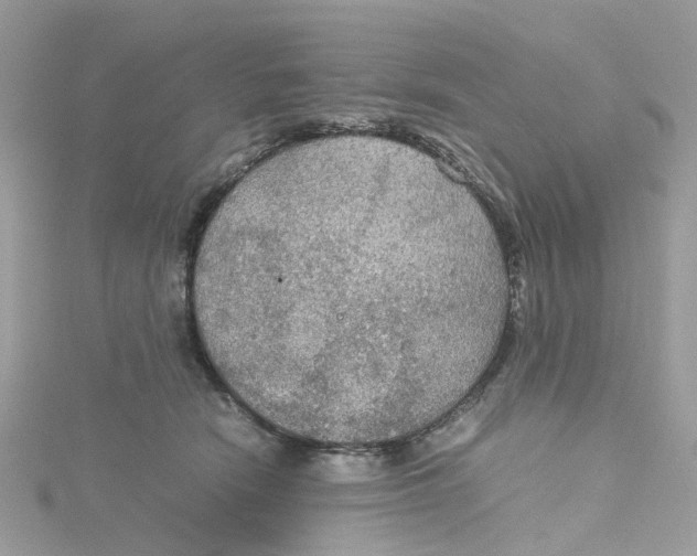 X0000115190466200911181451