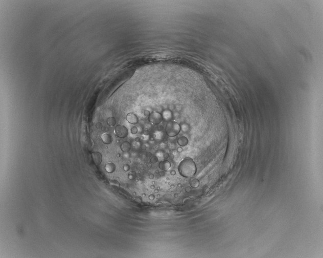 X0000115190470200911181452