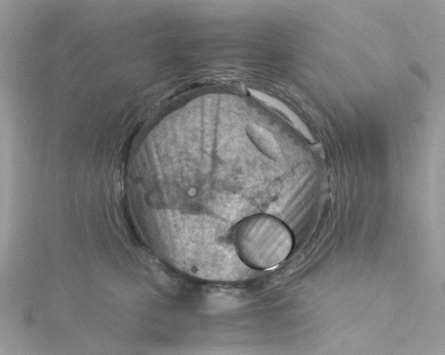 X0000115190471200911181452