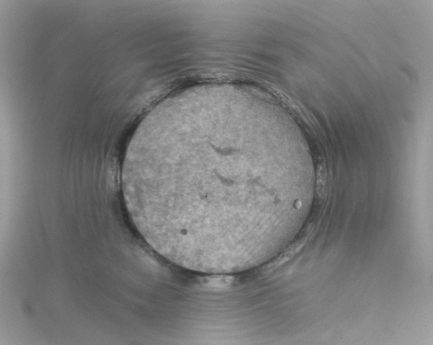 X0000115190474200911181452