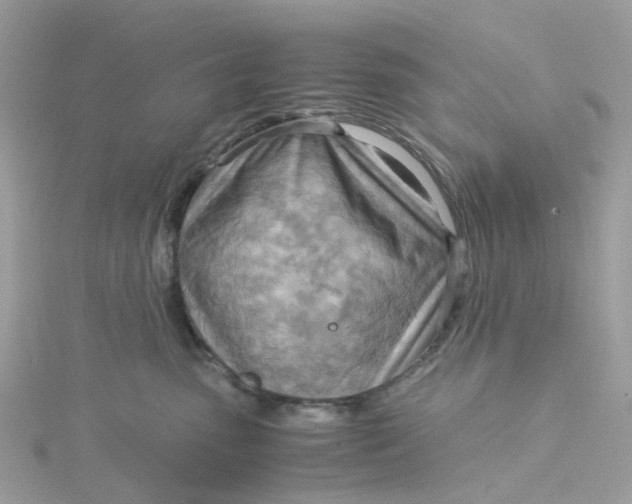 X0000115190475200911181452