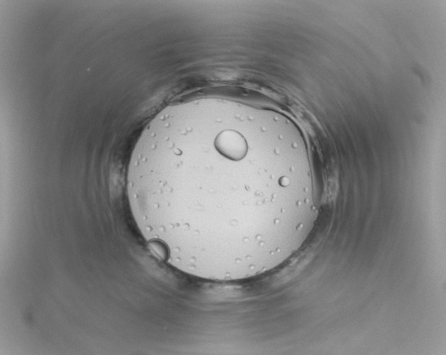 X0000115190476200911181452