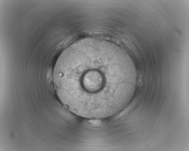 X0000115190478200911181452