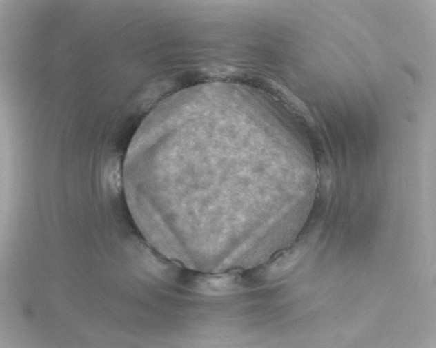 X0000115190479200911181452