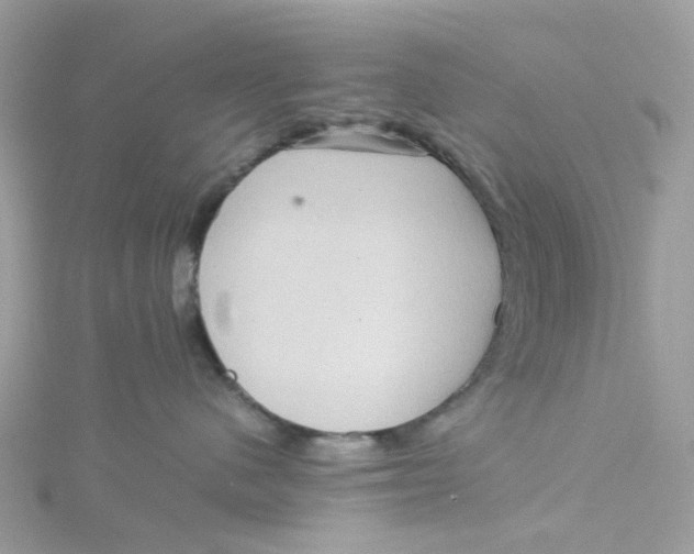 X0000115190480200911181452