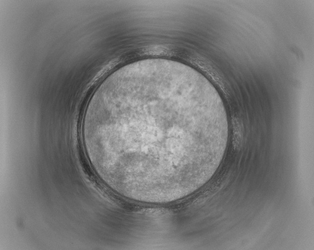 X0000115190482200911181451