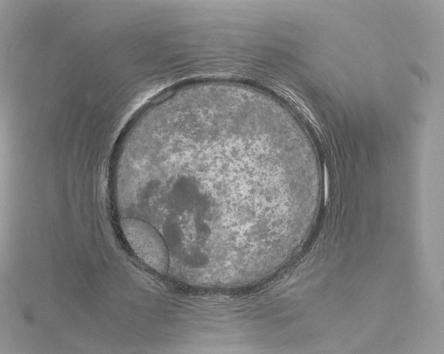 X0000115190483200911181451