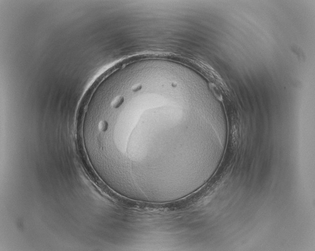 X0000115190484200911181451