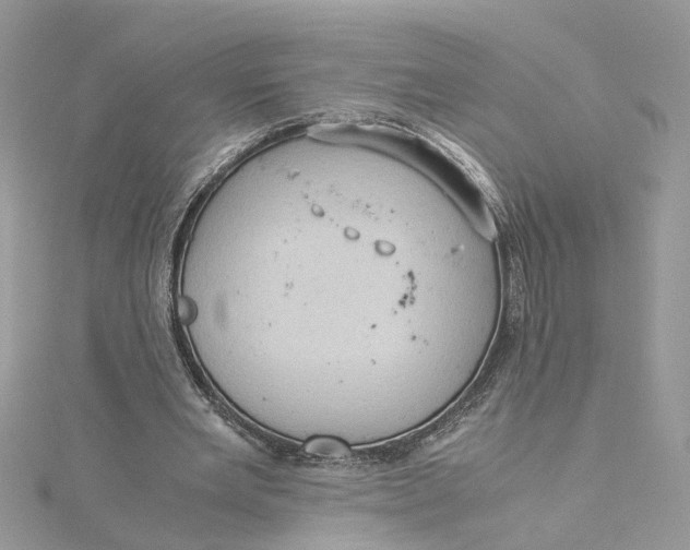 X0000115190485200911181451