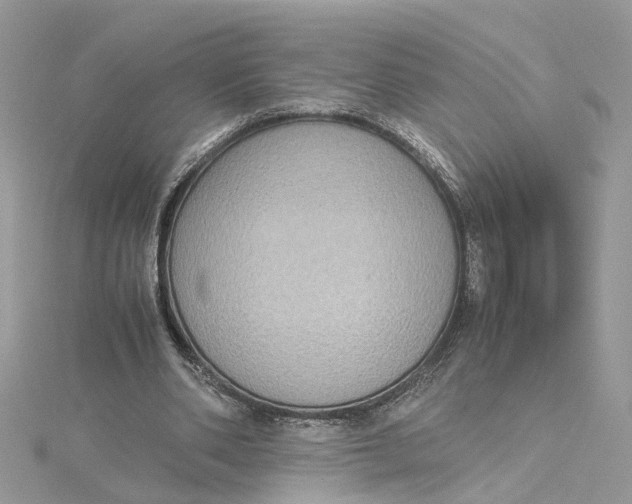 X0000115190486200911181451