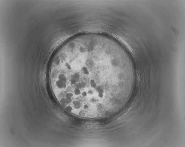 X0000115190487200911181451