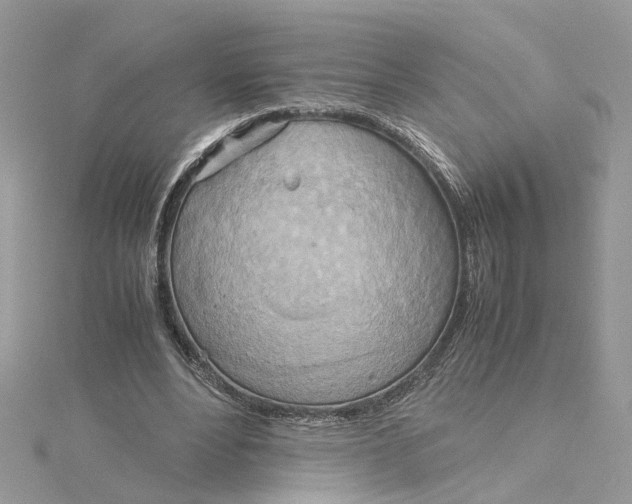 X0000115190488200911181451