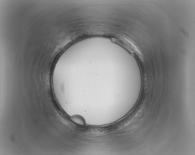 X0000115190489200911181451