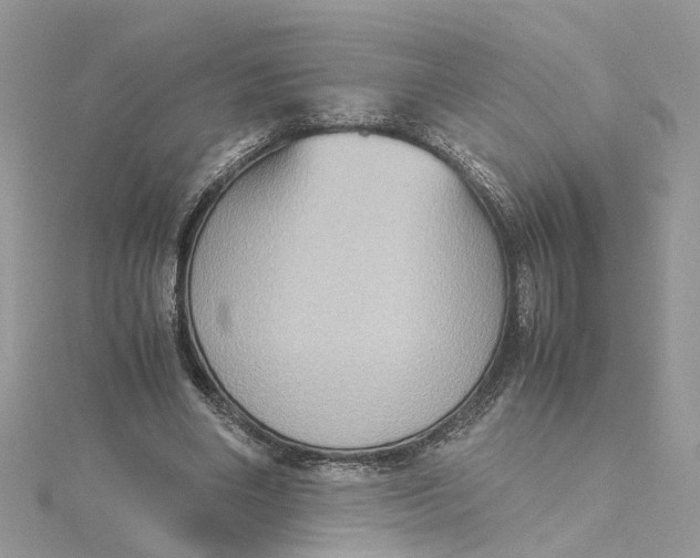 X0000115190490200911181451