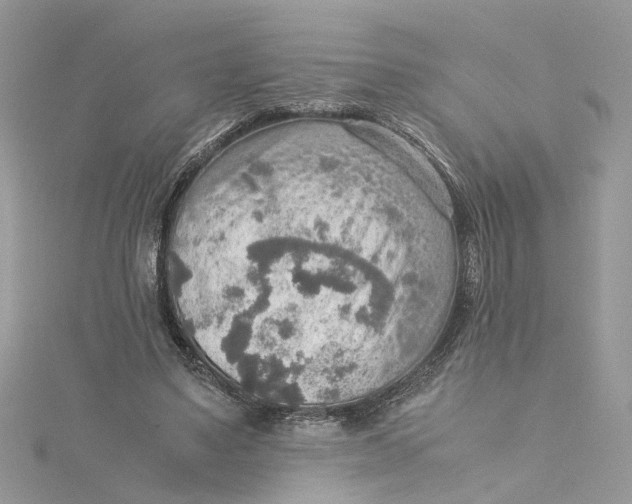 X0000115190491200911181451