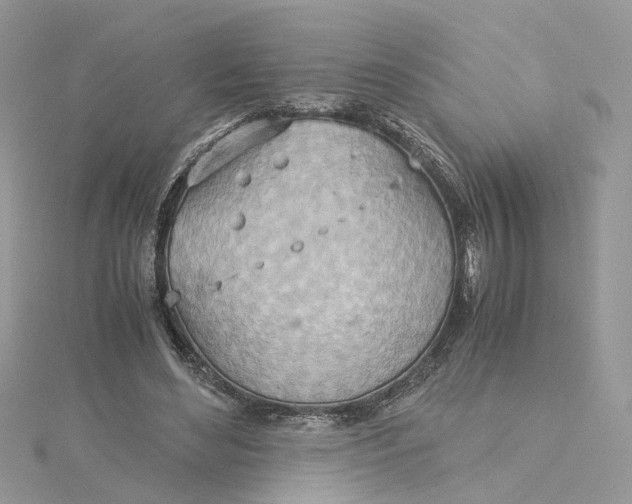 X0000115190492200911181451