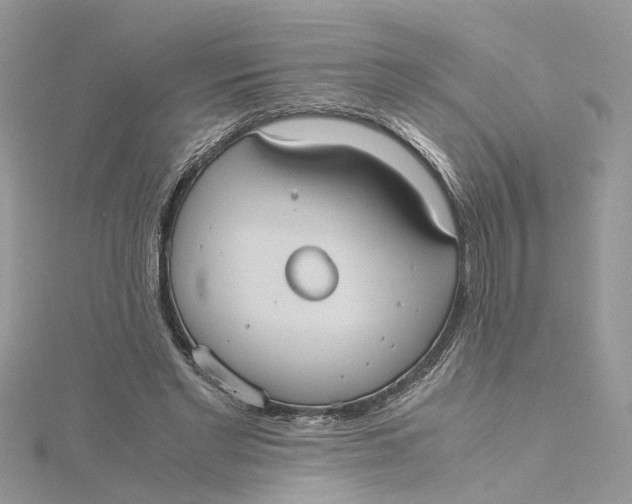 X0000115190493200911181451