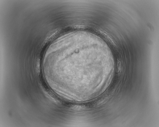 X0000115190494200911181451