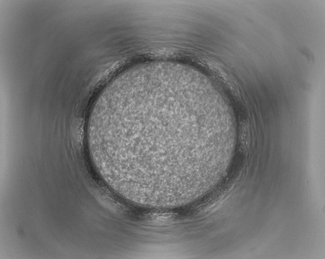 X0000115190495200911181451