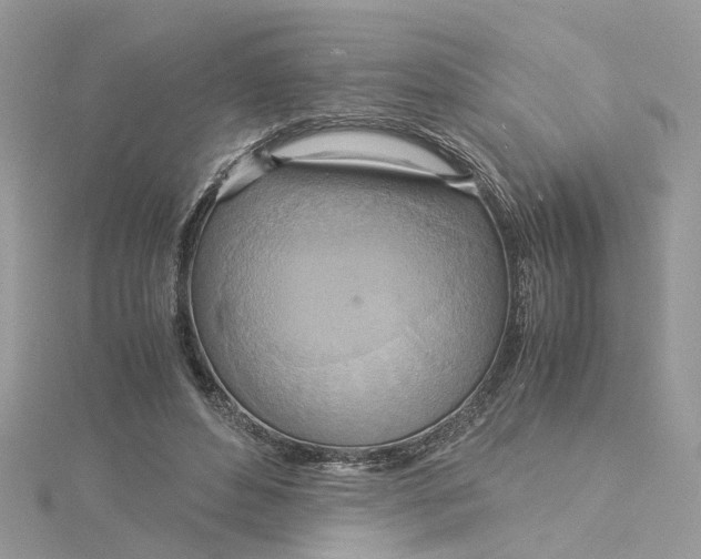 X0000115190496200911181451