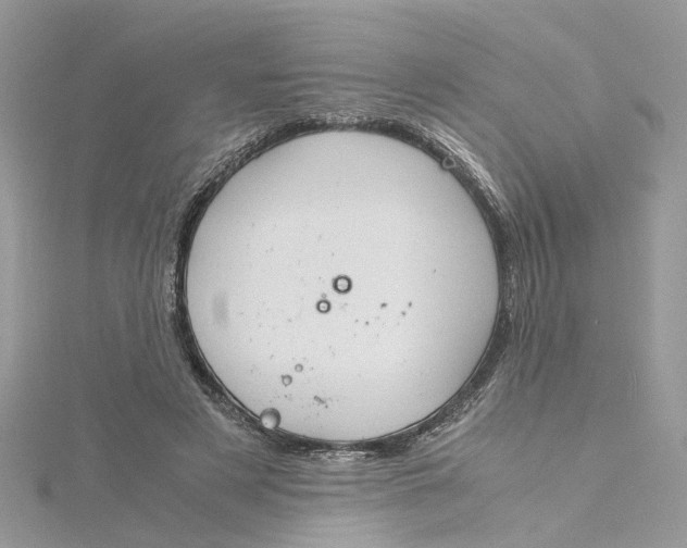 X0000115190497200911181451