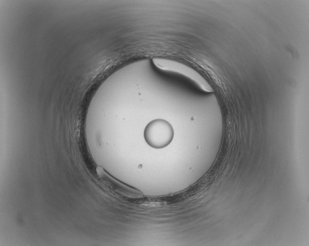 X0000115190499200911181451