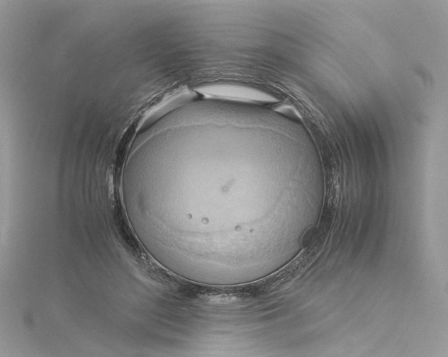 X0000115190500200911181451