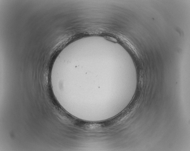 X0000115190501200911181451