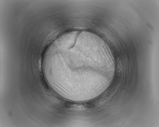 X0000115190502200911181451