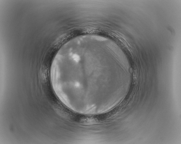 X0000115190503200911181451