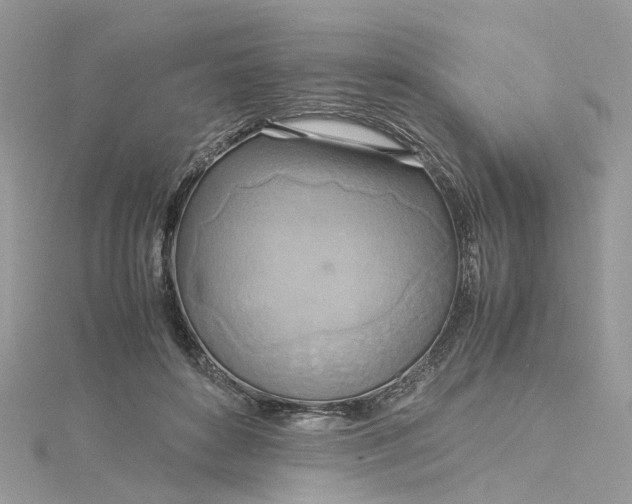 X0000115190504200911181451