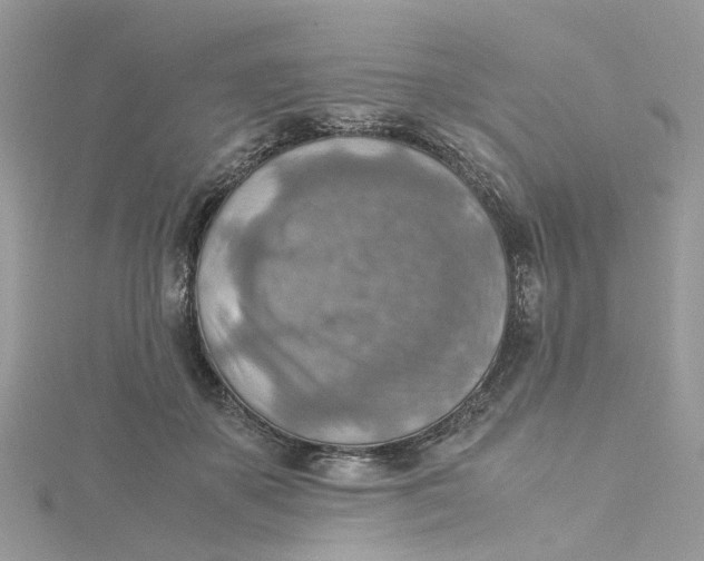 X0000115190507200911181451