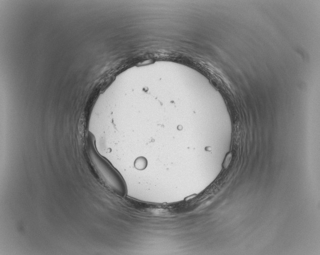 X0000115190509200911181451