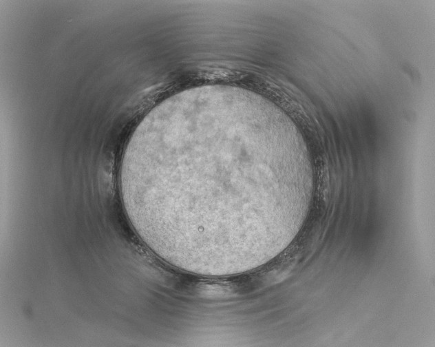 X0000115190510200911181451