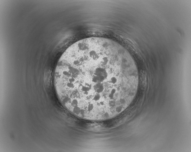 X0000115190511200911181451