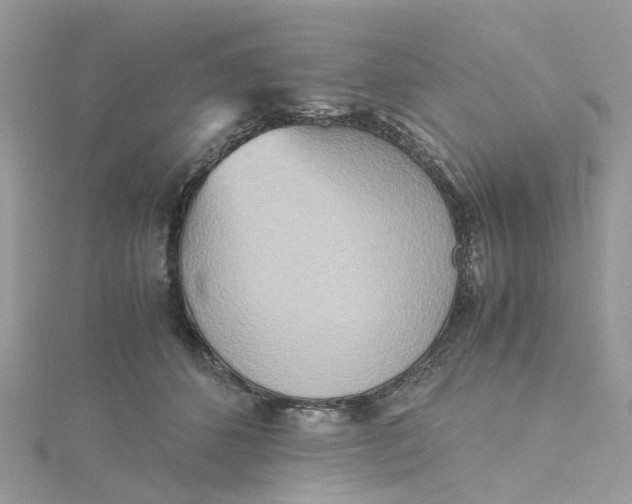 X0000115190512200911181451