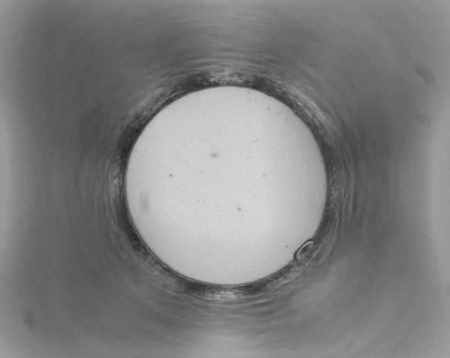 X0000115190513200911181451