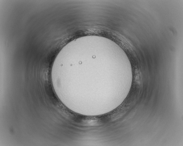 X0000115190514200911181451