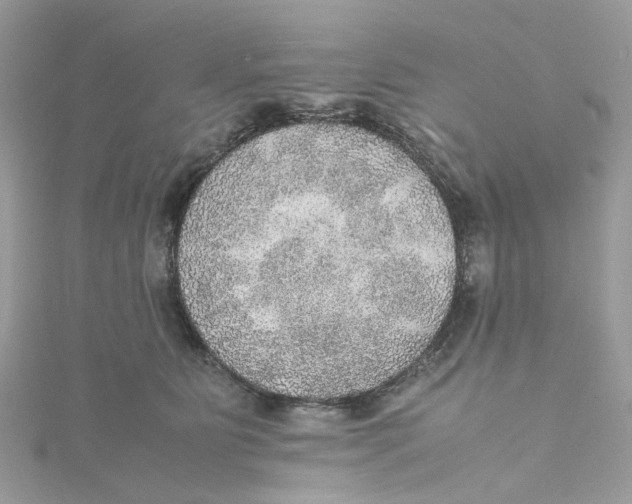 X0000115190515200911181451