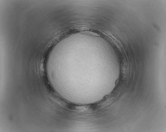 X0000115190516200911181451