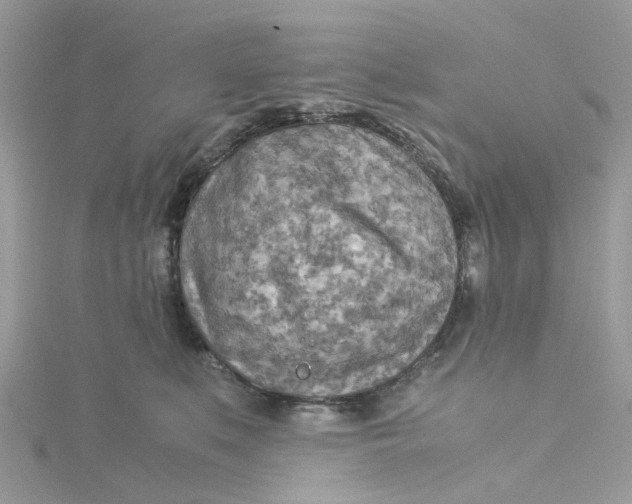 X0000115190519200911181451