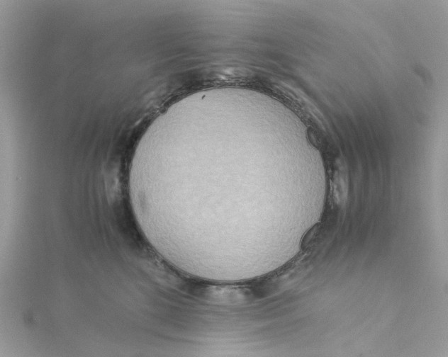 X0000115190520200911181451