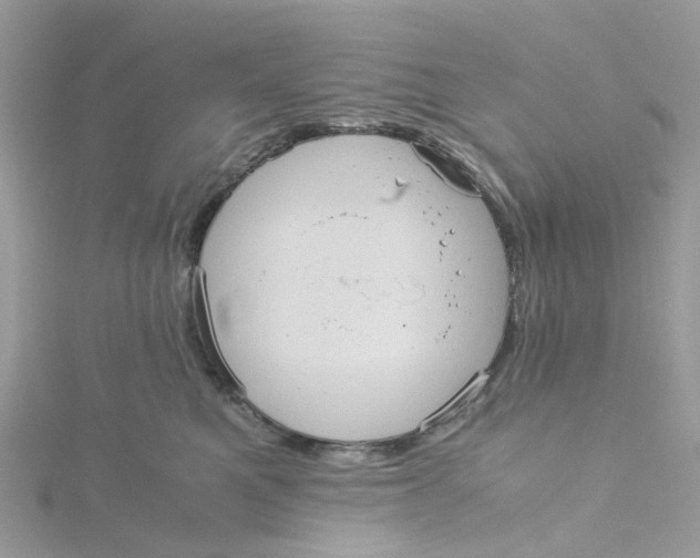 X0000115190521200911181451